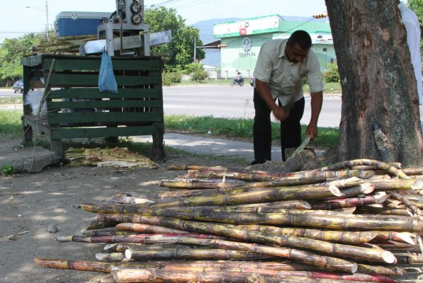 Aumenta el número de vendedores ambulantes en San Pedro Sula
