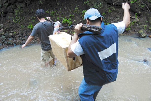Cerca el estreno de 'Amor y frijoles”