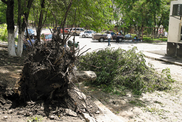 Daños en 15 colonias por tormenta en San Pedro