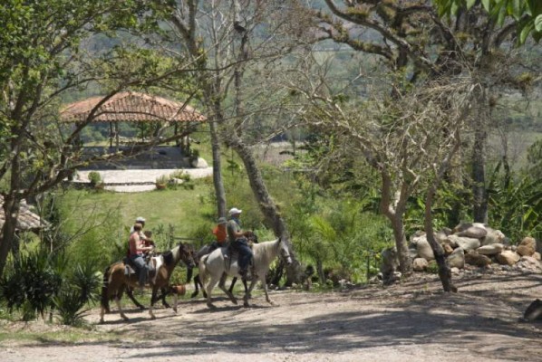 Las familias pueden disfrutar de paseos a caballo por los senderos y tener un contacto directo con naturaleza.