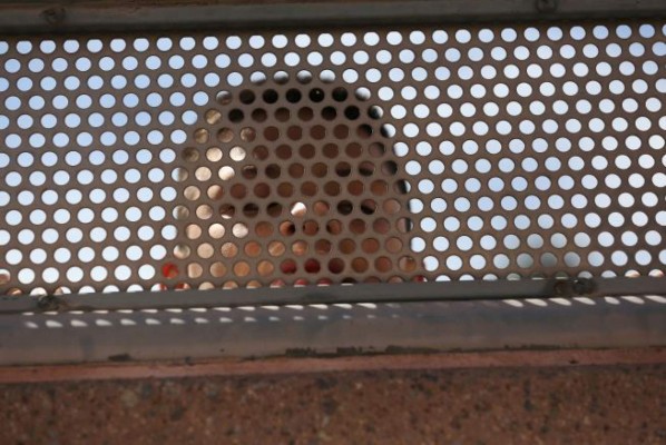 Centroamérica acuerda medidas para prevenir migración infantil hacia EUA