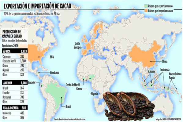Cacaoteros de Honduras aumentarán su producción