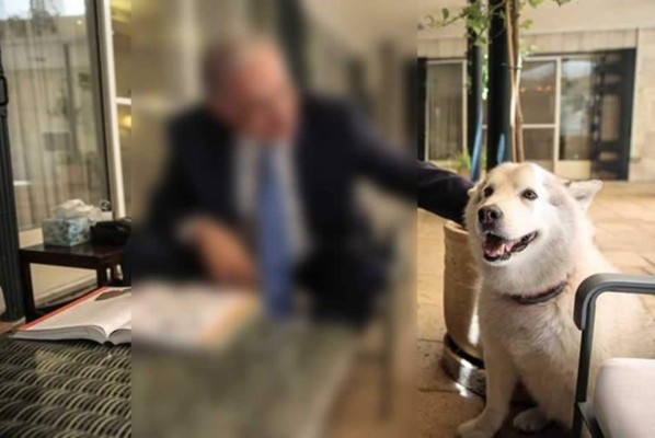 Israel: El perro de Netanyahu muerde a dos importantes invitados