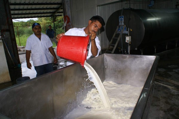 Ganaderos descartan aumento a la leche