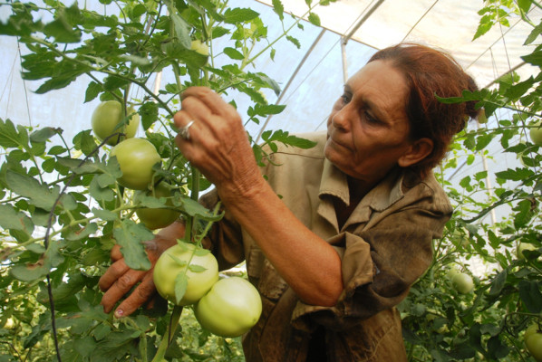 Hay que empoderar a las mujeres en la agricultura