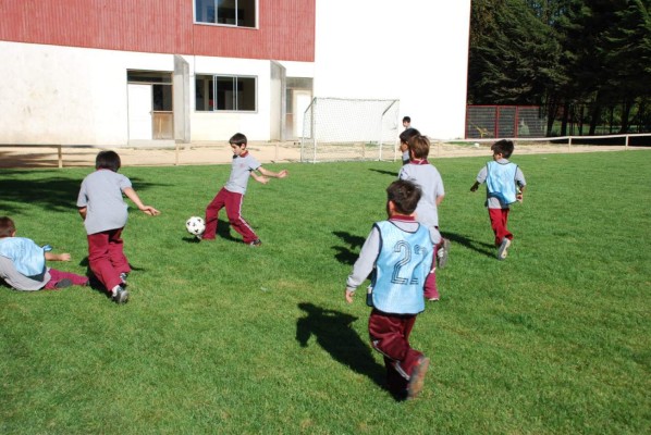 Ver espacios verdes ayuda en el rendimiento de los estudiantes