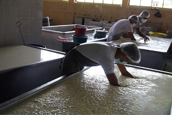 Buscan nuevos mercados para exportar leche