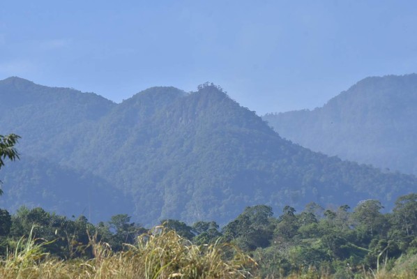 La Ceiba: controlarán fuego con helicópteros en zona de Pico Bonito