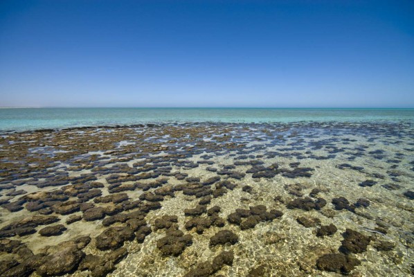 El Parque Marino de Ningaloo es Patrimonio Natural de la Humanidad.