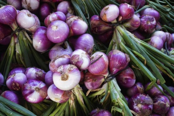 Lejamaní es el mayor productor de la cebolla roja en toda Honduras.
