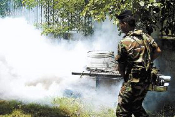 La incidencia de dengue bajó un 50% en relación a 2005