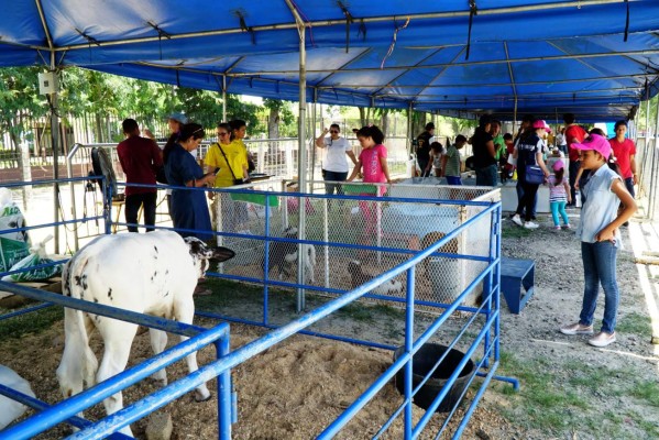 Cientos de familias sampedranas disfrutan el Festival del Niño