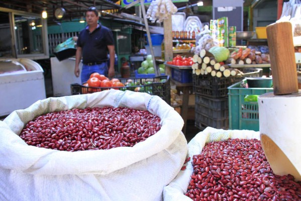 Fondos por L800 millones garantiza reserva de granos