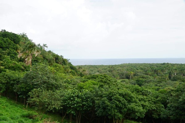 Utila, el paraíso caribeño que debe visitar en Honduras