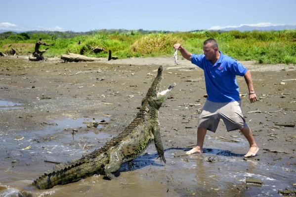 Se lanzó a un arroyo pese a que le dijeron que había un cocodrilo