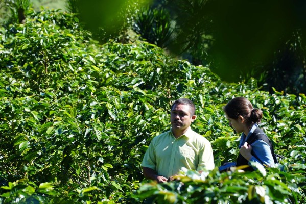 El Merendón tiene dos de los 27 mejores cafés a nivel mundial