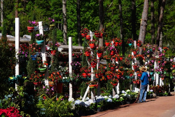 Santa Lucía, una escapada para disfrutar con la familia