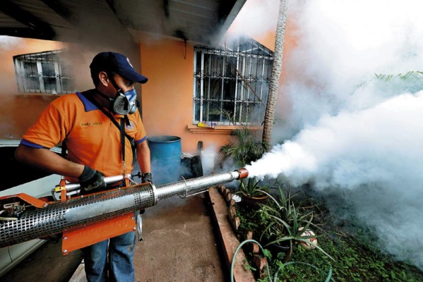 Salud refuerza vigilancia en la zona sur por virus del Zika