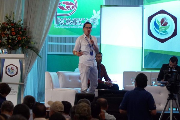 El 60% del parque cafetalero tiene variedades resistentes a la roya