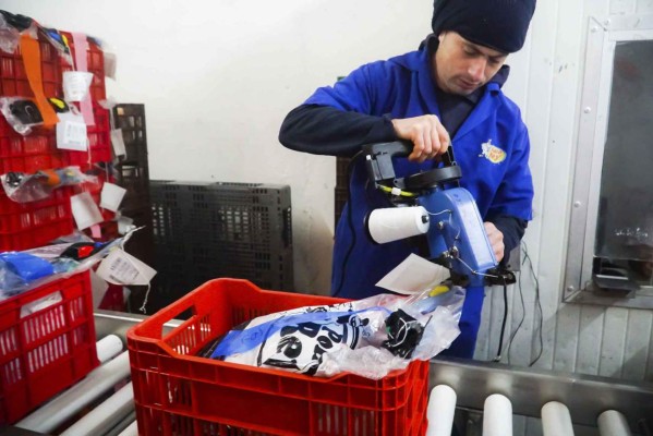 Tecnología y calidad, claves de éxito avícola