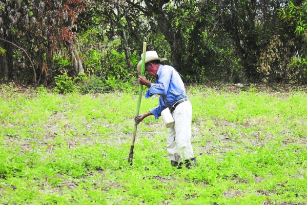 Otro informe aplaza a Honduras en competencia