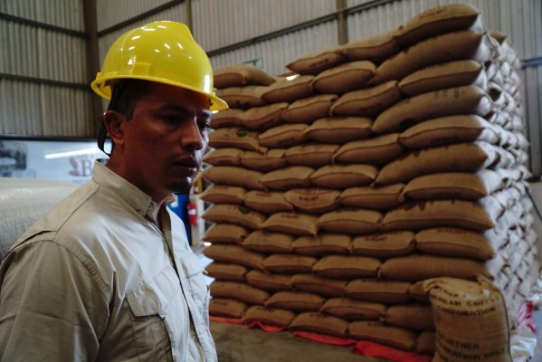 Honduras provee productos orgánicos a más de 26 países