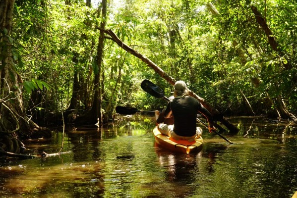 Parque Nacional Punta Izopo, santuario de biodiversidad