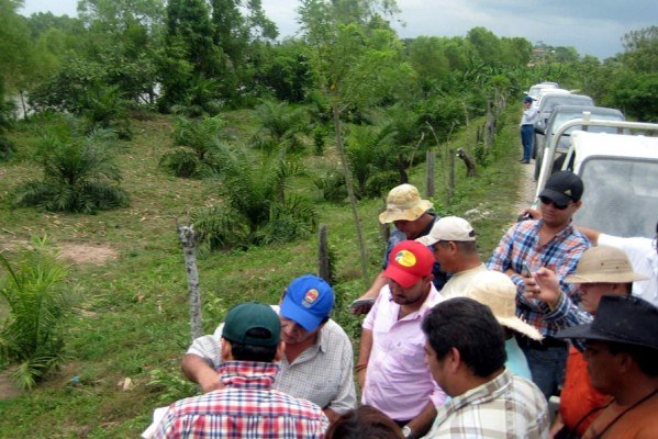 Castigarán al que cultive y construya en bordos de los ríos Ulúa y Chamelecón