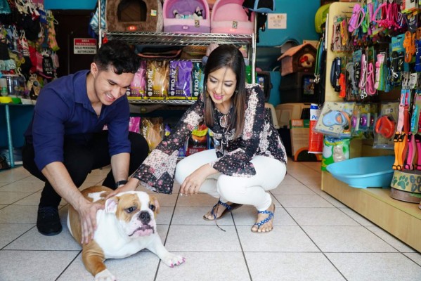 Los hermanos que innovan con un salón de belleza para perros