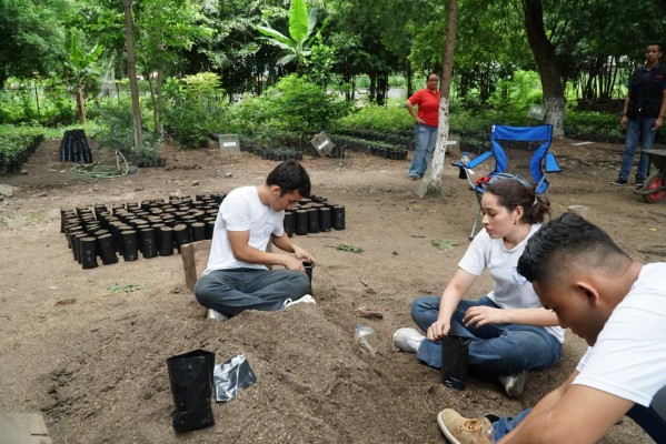 Hacer de San Pedro Sula una ciudad más verde es objetivo para 2018