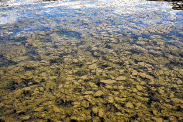 Guatemala: Lago Atitlán, amenazado de muerte