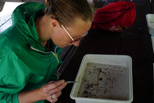 El Cusuco, el área de mayor investigación en Centroamérica