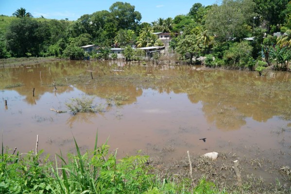 Tormentas dejan pérdidas en las zonas bajas del Valle de Sula