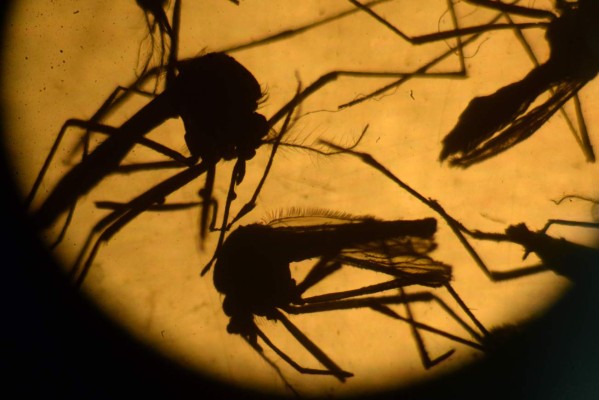 Obama pide ayuda al Congreso para lucha contra el zika