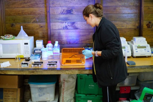 El Cusuco, el área de mayor investigación en Centroamérica