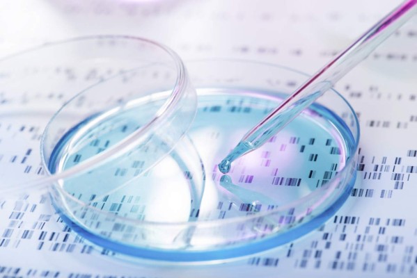 Un mapa del ADN podría conducir a un tratamiento personalizado para el cáncer