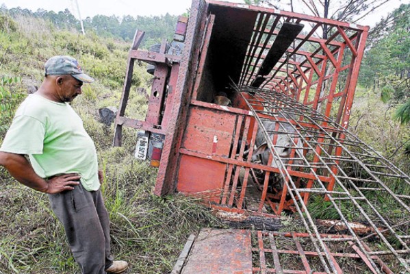 Vuelca camión con vacas