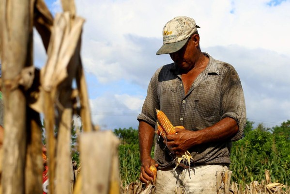 Construyen centro de almacenamiento para granos básicos en Choluteca