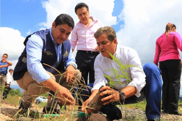 Pinto se une a campaña de reforestación