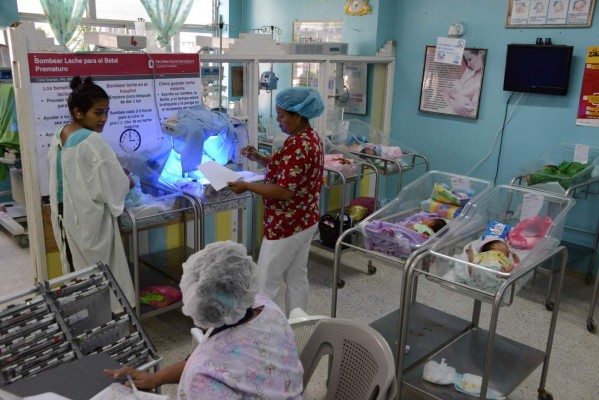 Científicos de EUA localizan anticuerpos que protegen del zika