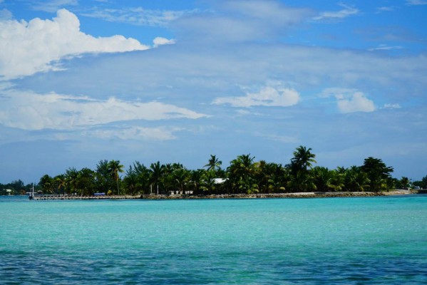 Ruta del Delfín en el Caribe hondureño