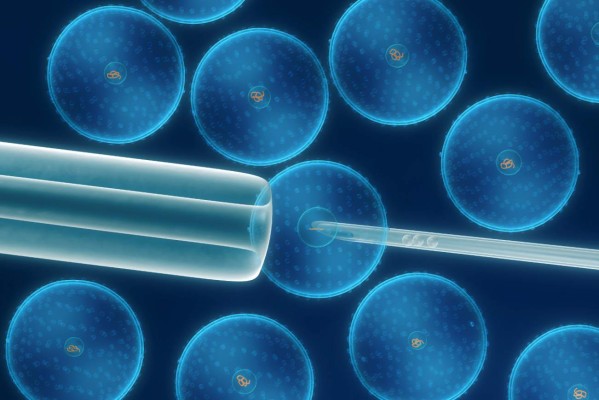 Una nueva táctica con células madre se muestra promisoria para la insuficiencia cardiaca