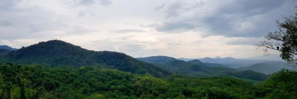 Sendero. A cinco minutos del centro de Santa Rita, exactamente enfrente del desvío de la comunidad Guanchías, se encuentra un hermoso sendero que comprende 300 manzanas de tierra virgen. El visitante puede observar monos, venados, cerdo de monte o jabalí y gran variedad de especies de aves.