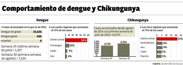 Salud asegura que en un mes se frenará la epidemia del dengue