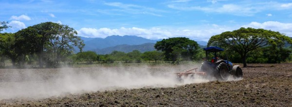 Jesús de Otoro lidera proyecto para salvar actividad agrícola