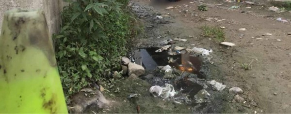 A balazos ultiman a persona en San Pedro Sula