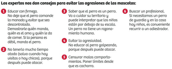 Recomendaciones para las personas que tienen perros agresivos
