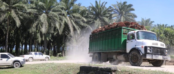 Foto: La Prensa