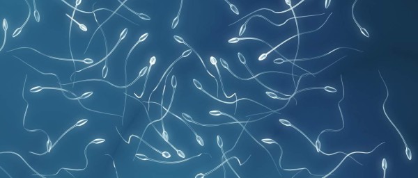 Los espermatozoides nadan más rápido sobre una superficie