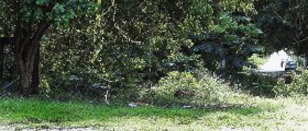 Construirán puente entre El Potosí y la Juan Lindo